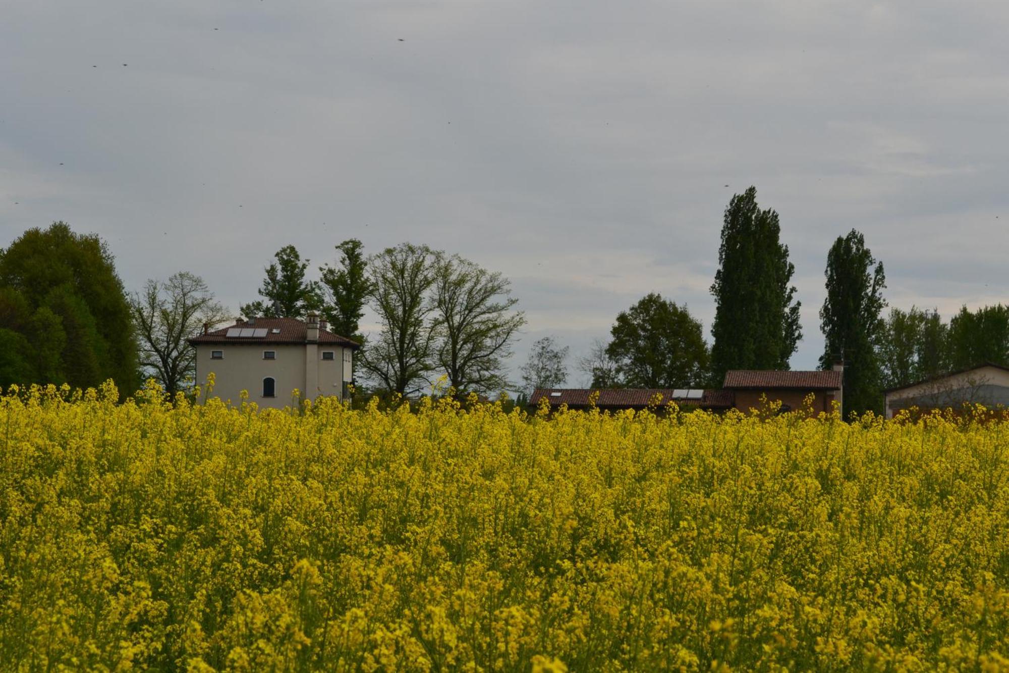 Villa Monteborre Cento  Exterior foto